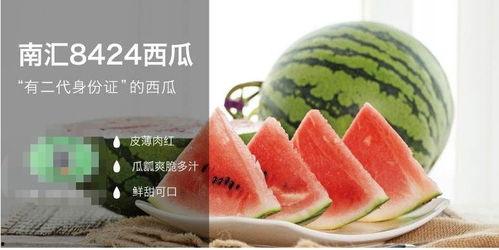 文章《吃瓜》,吃瓜群众的智慧与反思