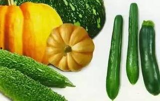 吃瓜永久有效,享受永恒的娱乐盛宴