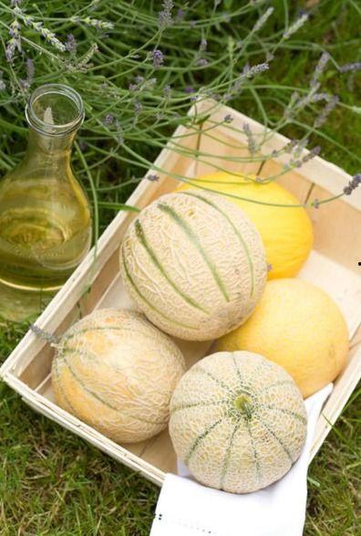 二三里吃瓜比赛,一场舌尖上的狂欢盛宴