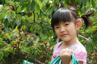 原阳最近吃瓜,最新吃瓜资讯大盘点