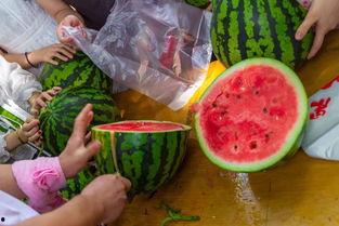 吃瓜视频四,揭秘娱乐圈背后的惊人真相