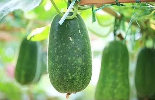 吃瓜视频四,揭秘娱乐圈背后的惊人真相